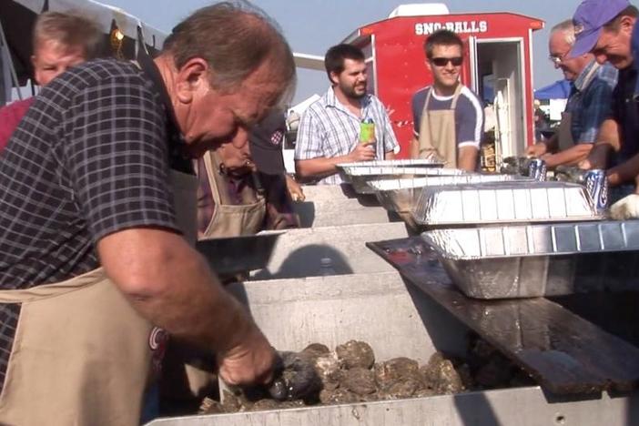 The Croatians have used grit and determination to build an oystering industry.
