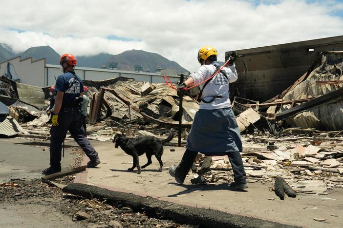 How communities can improve warning systems and disaster responses