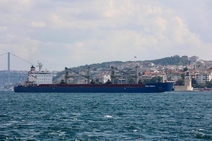 News Wrap: Russia attacks Ukrainian port a day before new grain deal talks