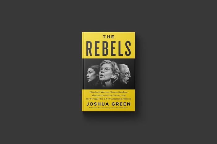 New book 'The Rebels' explores how populists have transformed the Democratic Party