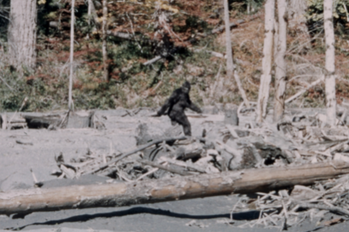 Amateur footage allegadly showing Bigfoot in 1967.