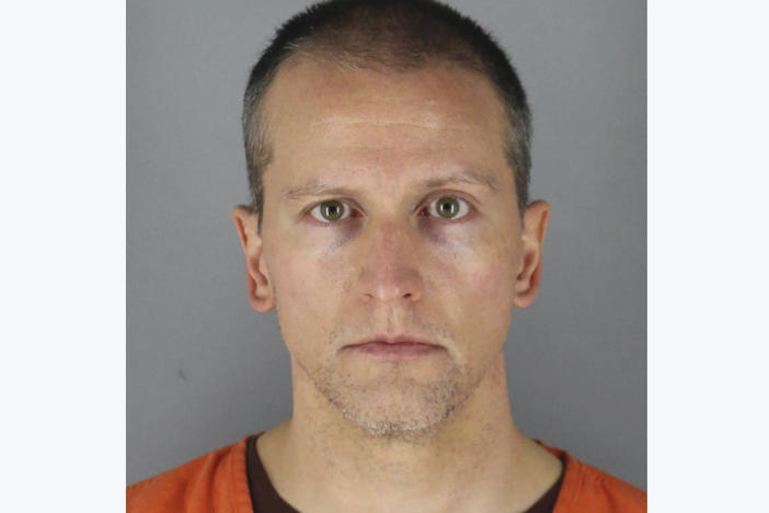Former Minneapolis police Officer Derek Chauvin was arrested on May 29 in connection with the death of George Floyd.