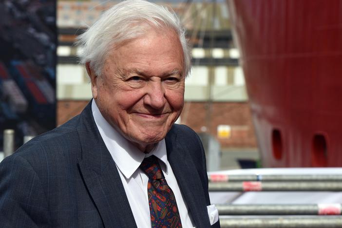Sir David Attenborough, shown here during a ceremony last September, broke the world record on Thursday for the fastest time to reach one million followers on Instagram.
