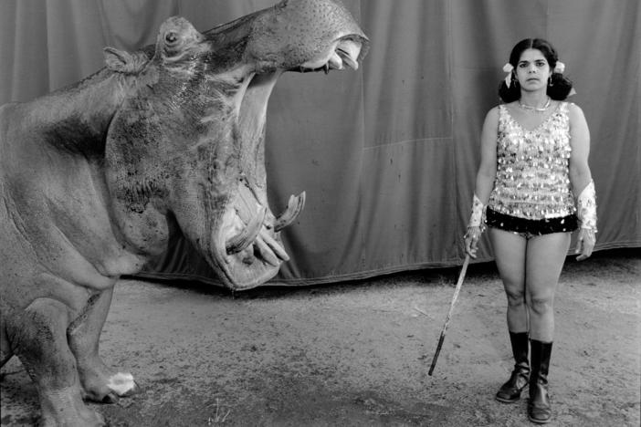 Hippopotamus and performer, Great Rayman Circus. Chennai, India, 1989.