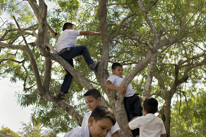Children climb a tree on the grounds of a school in La Rivera Hernandez, a neighborhood in San Pedro Sula, Honduras, that is notorious for high levels of violence in a city that has some of the highest homicide rates in the world.