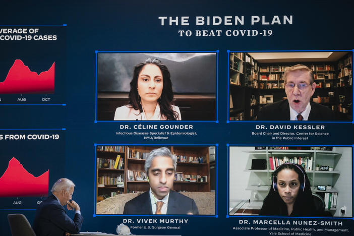 Dr. David Kessler (top right during a briefing before the election) has been a top coronavirus adviser to President-elect Joe Biden for months.