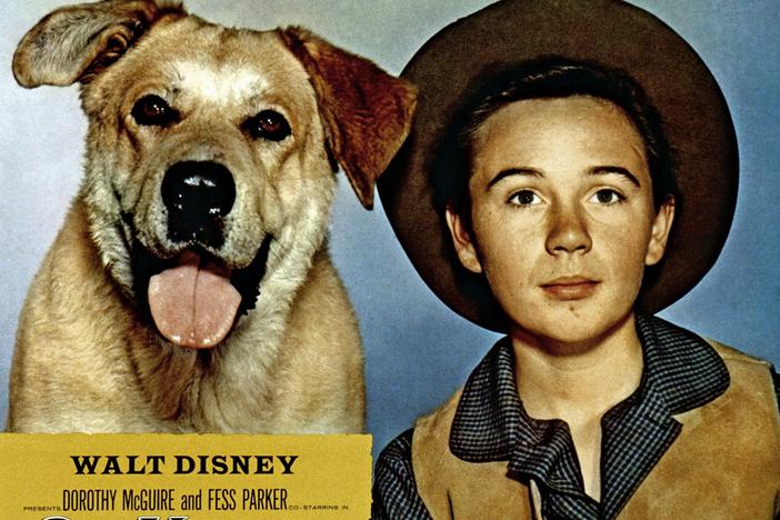 Tommy Kirk, here with his canine co-star in 1957's <em>Old Yeller,</em> has died. Kirk appeared in a string of hit Disney movies such as <em>Swiss Family Robinson</em> and <em>The Absent-Minded Professor.</em>