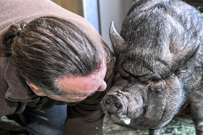 Wyverne Flatt, who is fighting to keep his pot-bellied pig Ellie as an emotional support animal, poses for a photograph at his home in Canajoharie, N.Y.