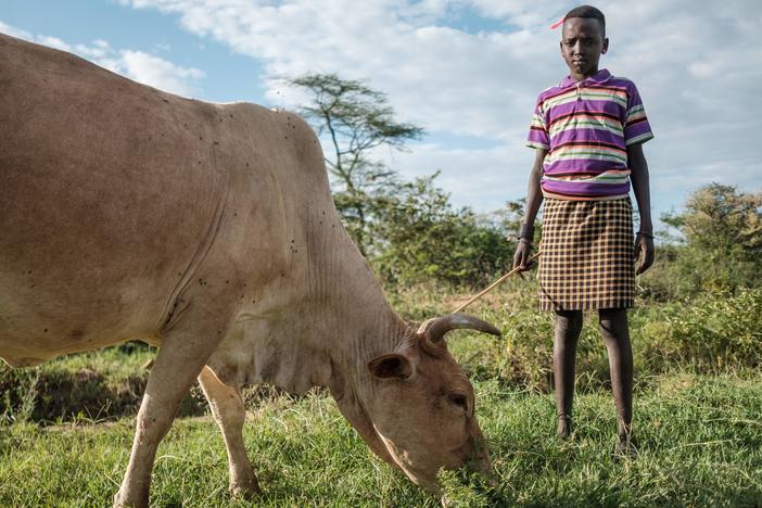 A girl poses for a portrait while standing next to a cow in Nakaprit on Feb. 15, 2020. Nakaprit is home to traditional pastorialists who depend on their cattle for survival and with the threat of locust invasions, locals are worried the vegetation will be destroyed and their cows wont be able to feed.