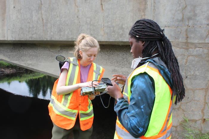 Environmental research students Valérie Bolduc and Jaynina Deku review test photos from motion-activated cameras they have installed around a water culvert to monitor wildlife.