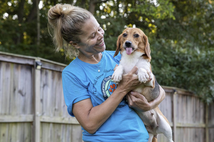 Sue Bell holds one of more than a dozen beagles that arrived at the headquarters of animal rescue group Homeward Trails in Fairfax Station, Va., on Thursday, while posing for a portrait. The dogs were a small portion of the roughly 4,000 beagles rescued from a research facility where the conditions were found to be inhumane.