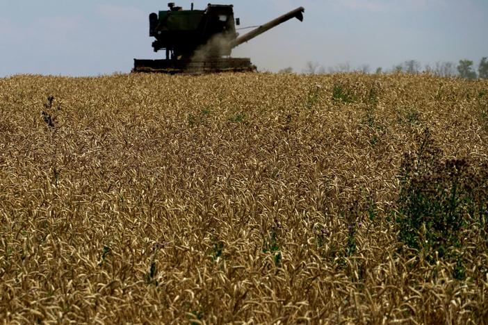 A grain combine harvester collects wheat near Novoazovsk outside Mariupol, Ukraine.
