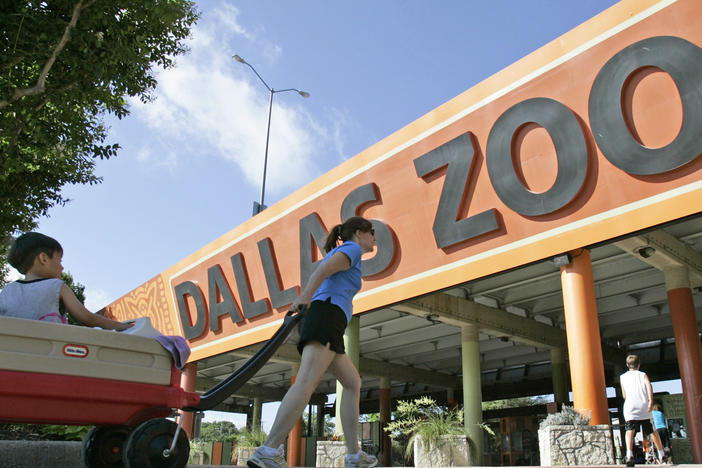 The entrance to the Dallas Zoo in Dallas is pictured on June 3, 2008. Two monkeys were taken from the Dallas Zoo on Monday, the latest in a string of odd incidents at the facility.