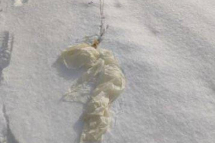 One of the balloons the General Staff of the Armed Forces of Ukraine says they shot down.