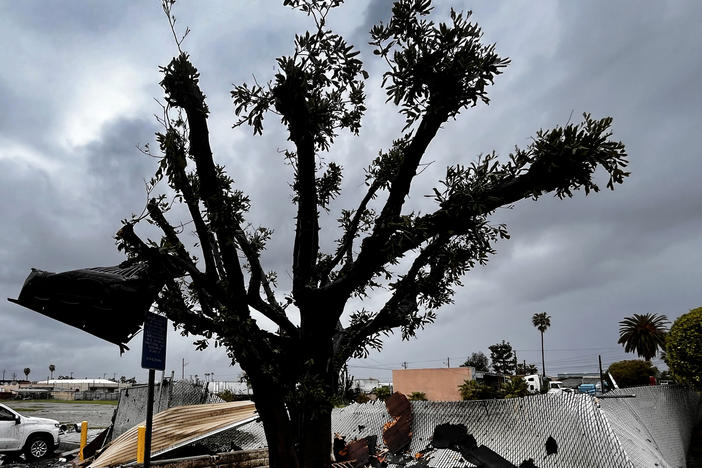A pickup bed liner is lodged into a tree after a tornado in Montebello, Calif., in March.