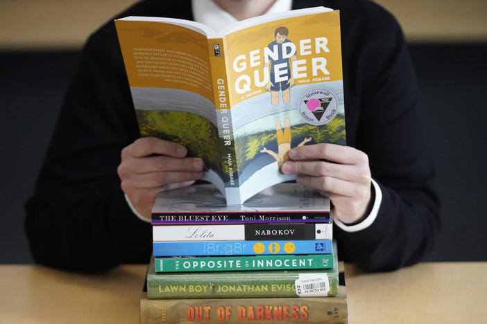 <em>Gender Queer</em> was one of the most banned and restricted titles in American libraries in 2022.