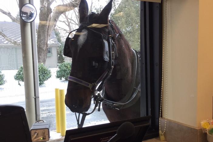 A horse looks in the drive-window of the Bank of Bird-in-Hand. The bank serves the Amish community. There are more than 4,000 small banks in the U.S.--more than any other country. And that has shaped the U.S. economy.