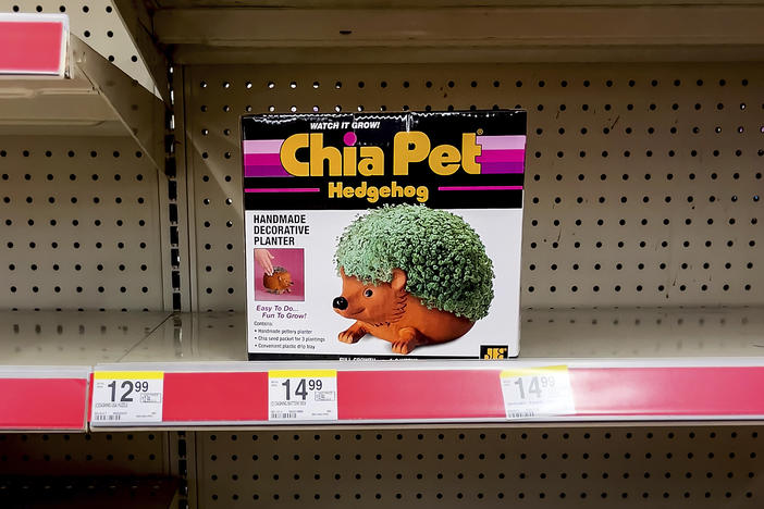 A lone Chia Pet sits on a shelf, a titan of 80's kitsch.