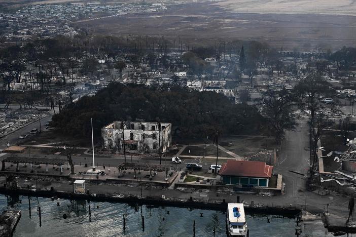 An aerial view shows the historic banyan tree, along with destroyed homes, boats and buildings in the historic Lahaina town in the aftermath of wildfires in western Maui on Thursday.