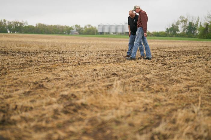 Farmer Rob Stone (R) and Gregory Gingera, a canola breeder at Corteva Agriscience, walk through Stone's field in Davidson, Saskatchewan, Canada in May. Canadian farmers are looking for ways to deal with recurrent drought, including planting earlier and using seeds that are more resistant to heat.