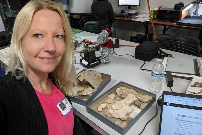 As an evolutionary anatomist, Heather Smith studies the fossil record of extinct species. A sudden appendectomy as a child made her curious about what the appendix is for and why it gets inflamed.
