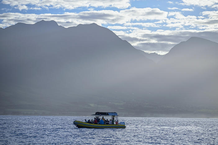 A whale watch tour embarks on a voyage with tourists visiting the island of Maui in January.