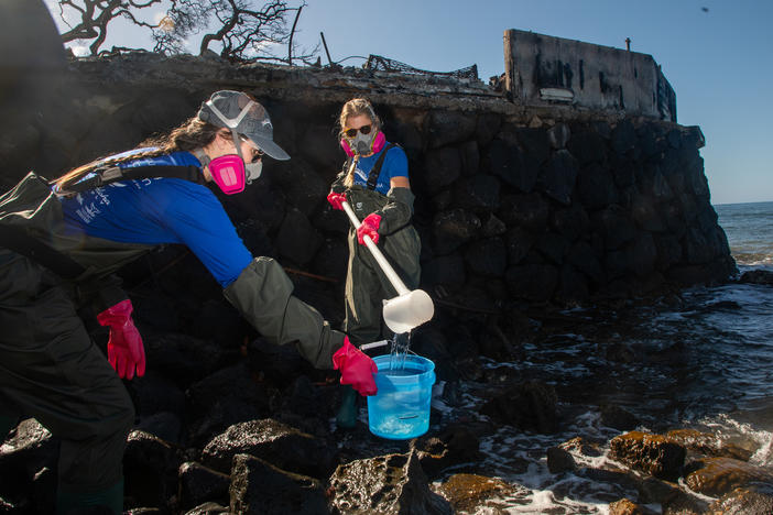 Christiane Keyhani (bottom left) and Liz Yannell (bottom right), of the non-profit group Hui O Ka Wai Ola, measure water quality along Lahaina's coast. The group is part of a coalition that mobilized in the wake of the fire to closely monitor the water quality off Lahaina.
