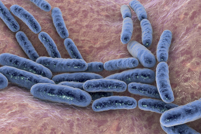 Like the gut, microbes are important for a healthy vaginal ecosystem.