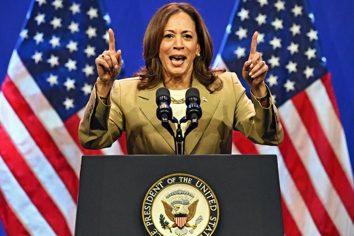 Democratic lawmakers, organizers, and potential rivals rallied around Vice President Harris’ candidacy for president.