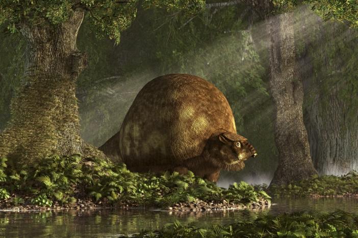 Glyptodonts were giant, armadillo-like shelled mammals that went extinct about 10,000 years ago. A study reveals that cut marks on a glyptodont fossil in South America could have been made by humans a little over 20,000 years ago.