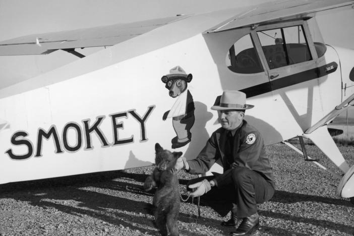 Smokey the bear cub is flown from Santa Fe, N.M., to his new home at the Washington National Zoo in a Piper J-3 Cub by New Mexico Assistant State Game Warden Homer C. Pickens in 1950. The little bear was rescued from a forest fire and named Smokey after the fire prevention symbol of the U.S. Forest Service.