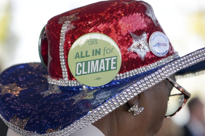 Doris Wallace, a board member for the North Carolina League of Conservation Voters, attends the “Climate Voters Go All In” event in Chicago, during the Democratic National Convention, on Aug. 20, 2024.