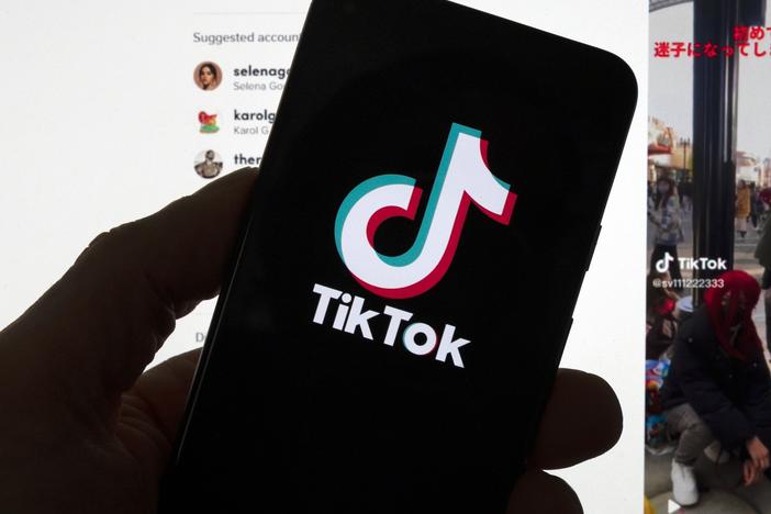 TikTok and the Department of Justice will face off next month in Washington in front of a panel of federal appeals judges over the fate of the popular app. But lawyers for TikTok say the government is trying to ban the service based on secret evidence. The Justice Department counters that material is classified. 