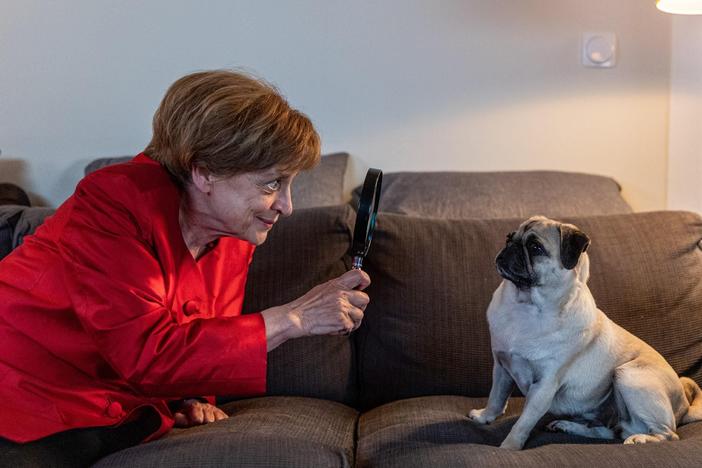 In a scene from the German TV series <em>Miss Merkel</em>, actress Katharina Thalbach, playing the amateur detective based on the former German Chancellor Angela Merkel, takes a closer look at her pug Helmut.