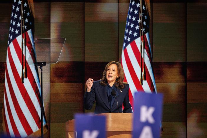 U.S. Vice President Harris speaks at the 2024 Democratic National Convention at the United Center on Aug. 22 in Chicago.