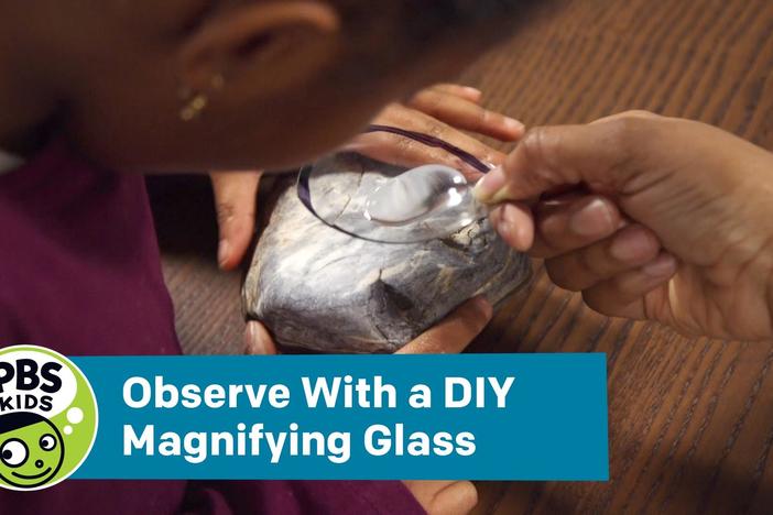 Observe With a DIY Magnifying Glass: asset-mezzanine-16x9
