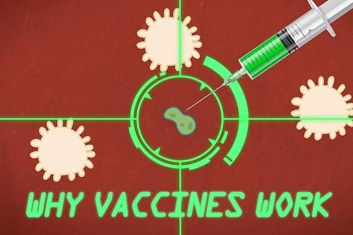 Why Vaccines Work: asset-mezzanine-16x9