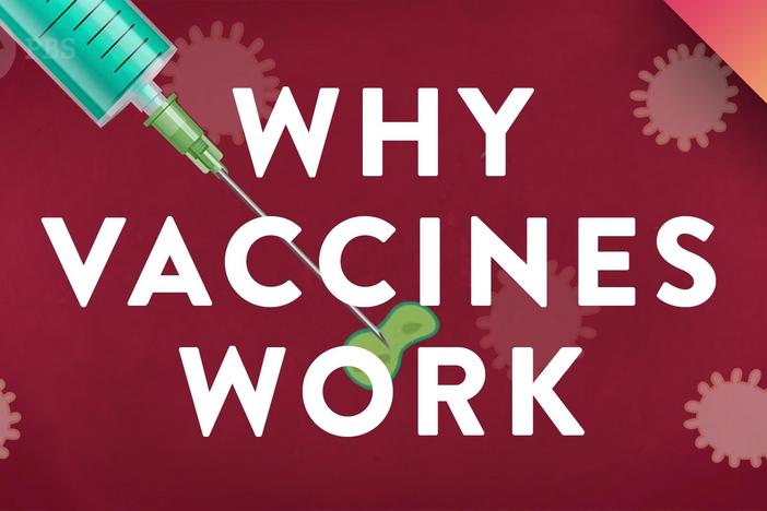 Why Vaccines Work: asset-mezzanine-16x9