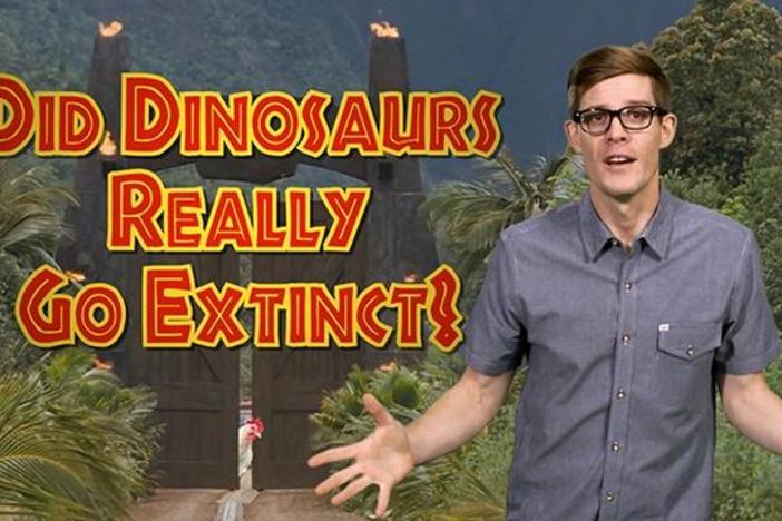 Are Dinosaurs Extinct?: asset-mezzanine-16x9