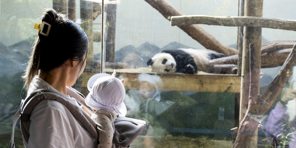 A mother shows her baby a Giant panda at Zoo Atlanta.