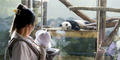 A mother shows her baby a Giant panda at Zoo Atlanta.